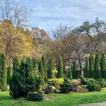 Готель Мараморош 3* שאיאן