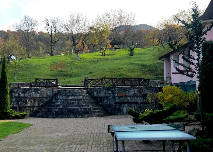 Готель Мараморош 酒店